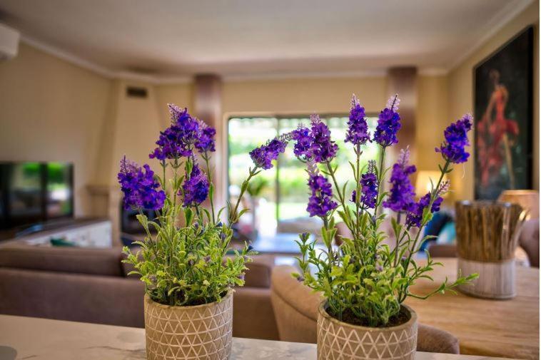 2Bedroom Bungalow Heated Shared Pool ,Near Carvoeiro And Ferrugudo エクステリア 写真